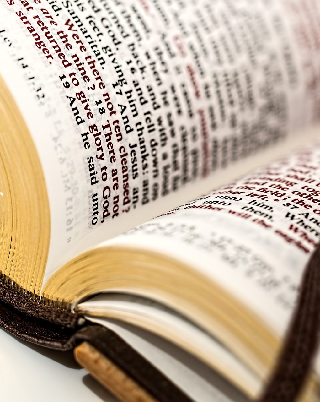 cropped-open-book-981405_1920.jpg